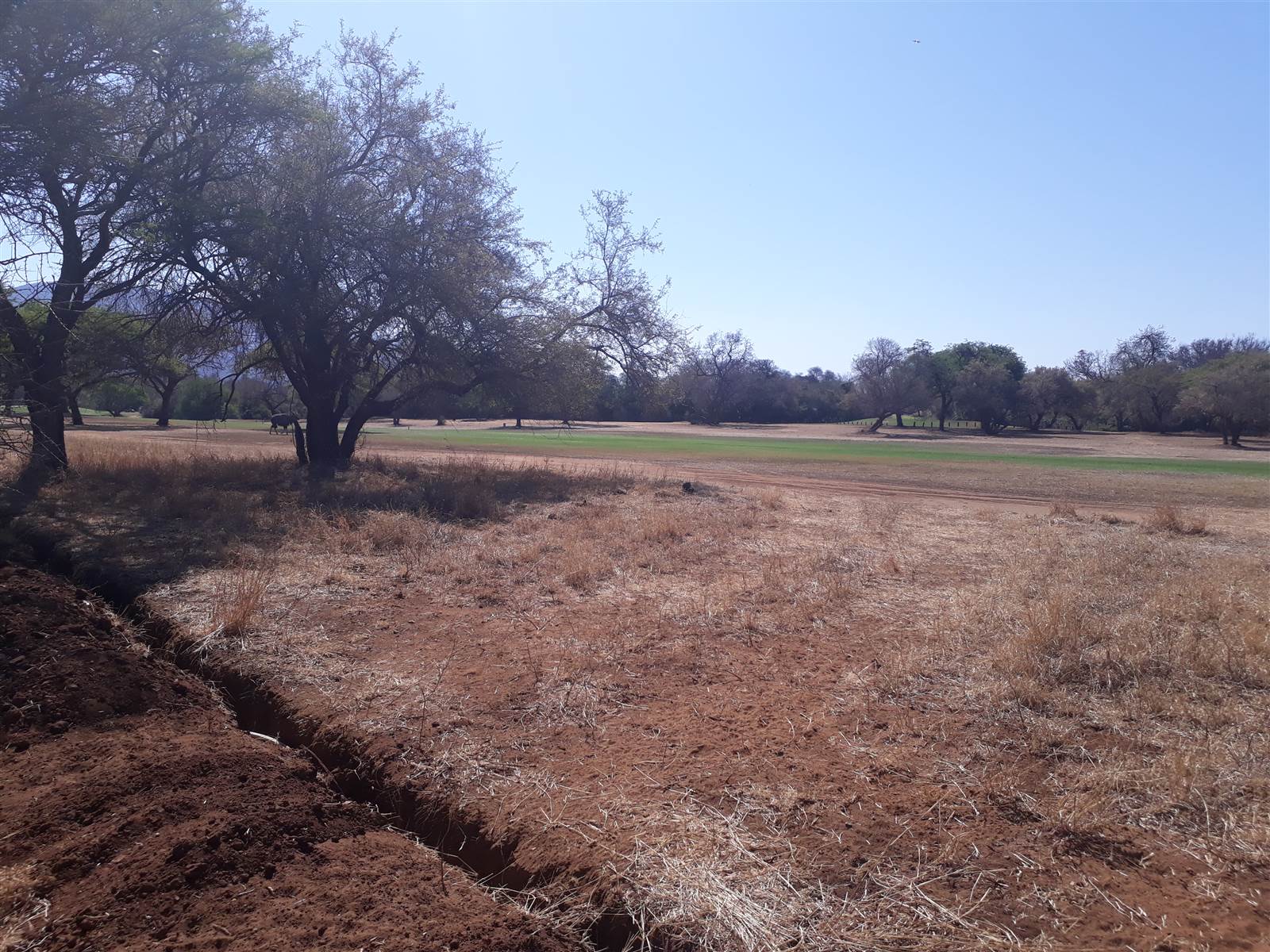 1476 m² Land available in Chroom Park photo number 3