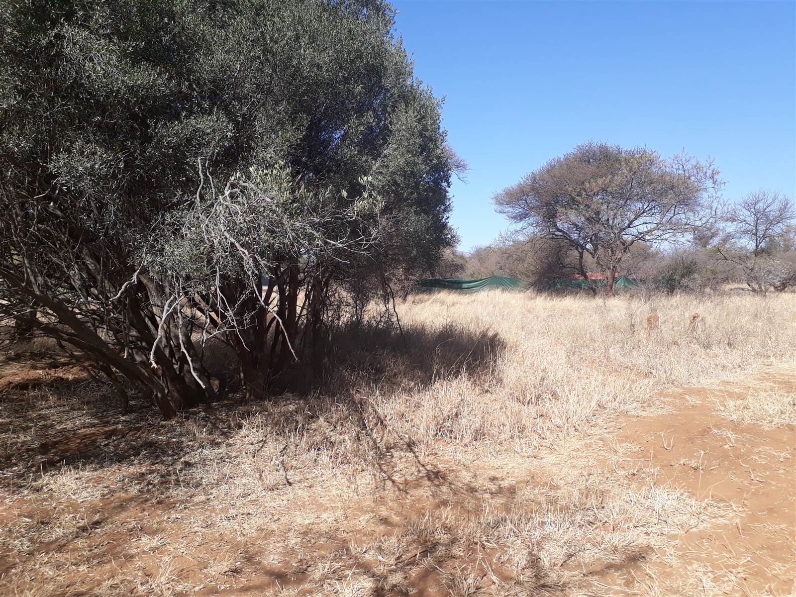 1476 m² Land available in Chroom Park photo number 9