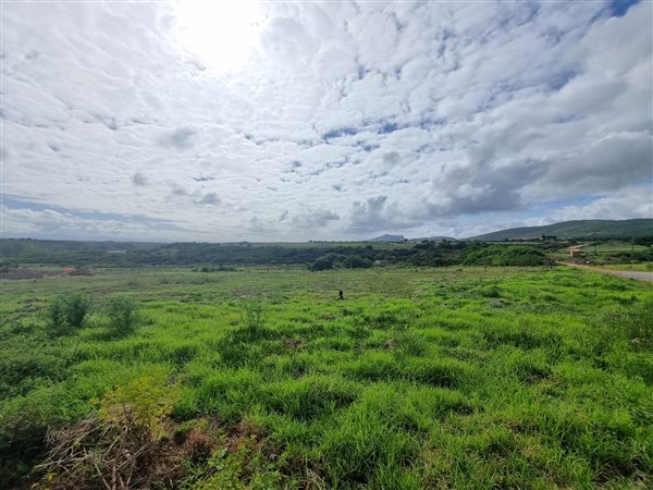 1187 m² Land available in Albertinia