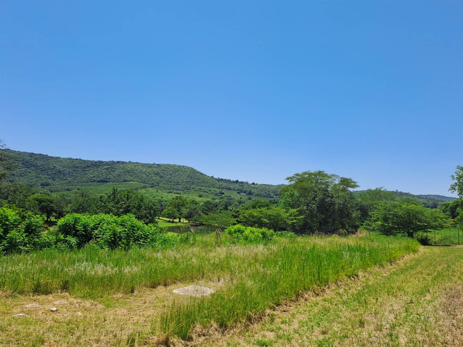 1245 m² Land available in Hazyview photo number 2