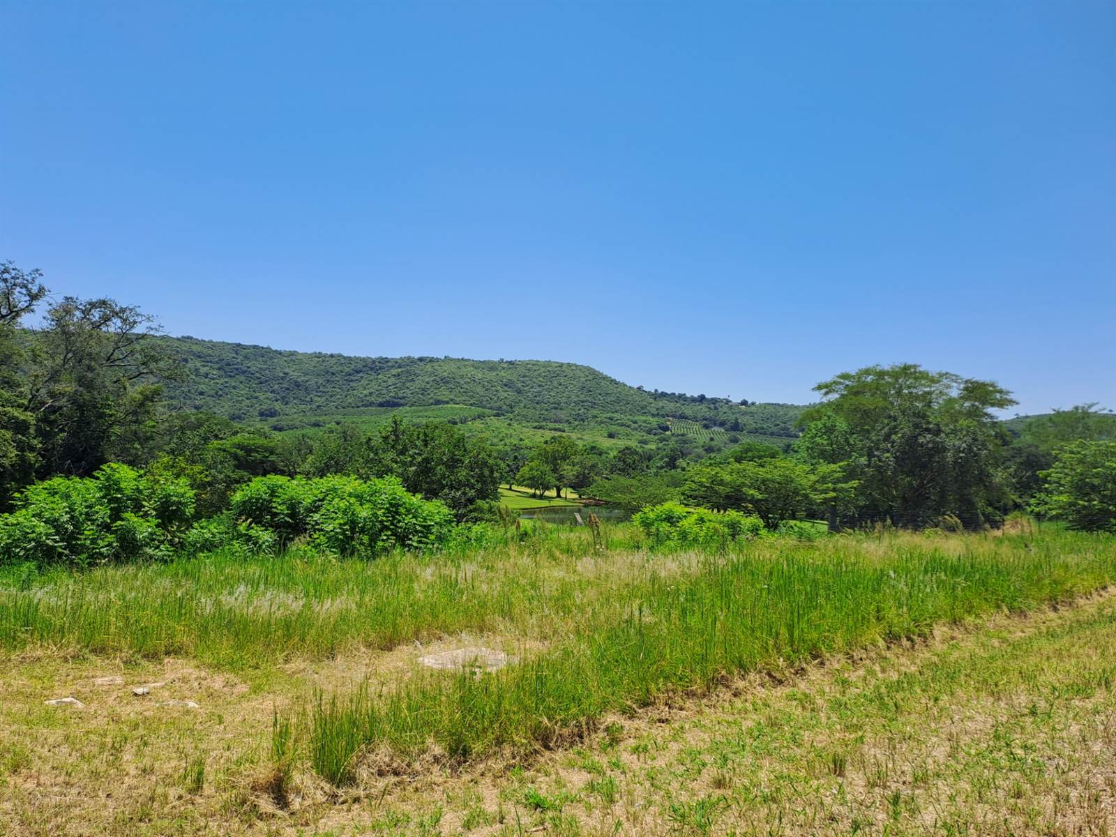 1245 m² Land available in Hazyview photo number 1