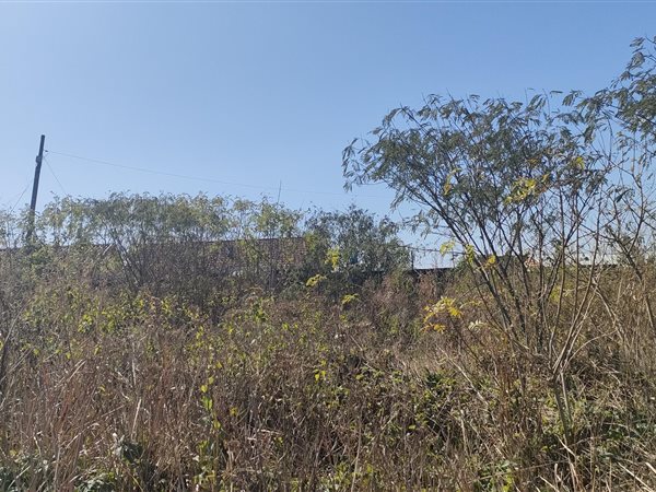 336 m² Land available in Belvedere