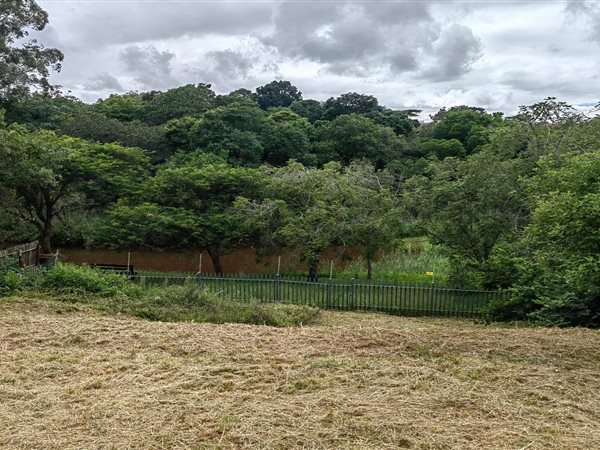 4149 m² Land available in Tzaneen