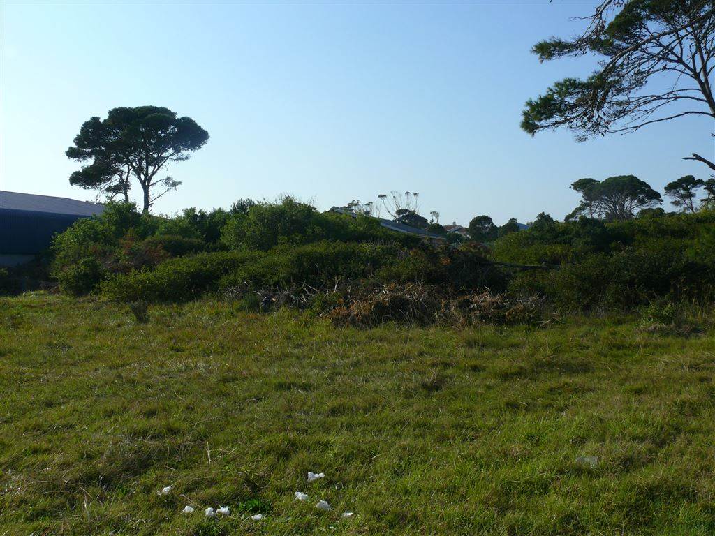 1800 m² Land available in East Bank photo number 4