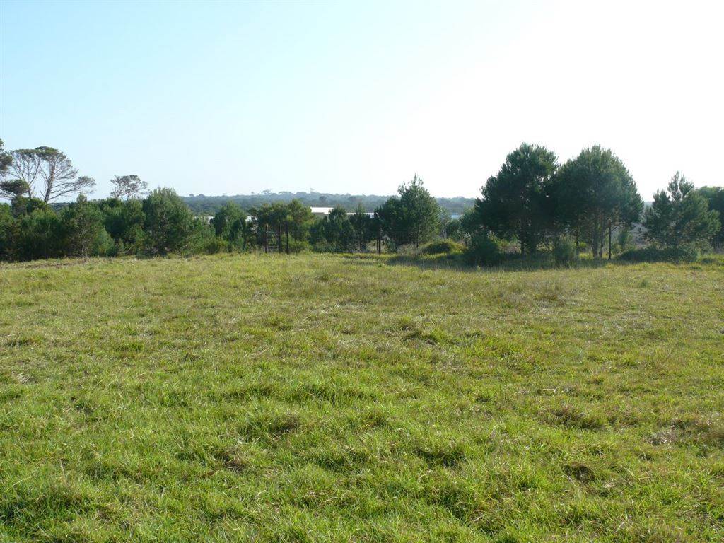 1800 m² Land available in East Bank photo number 7