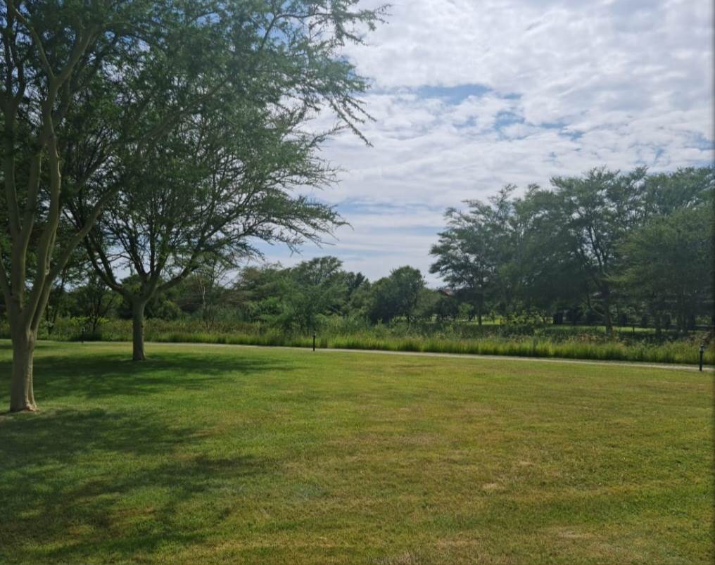 970 m² Land available in Zambezi Country Estate photo number 13