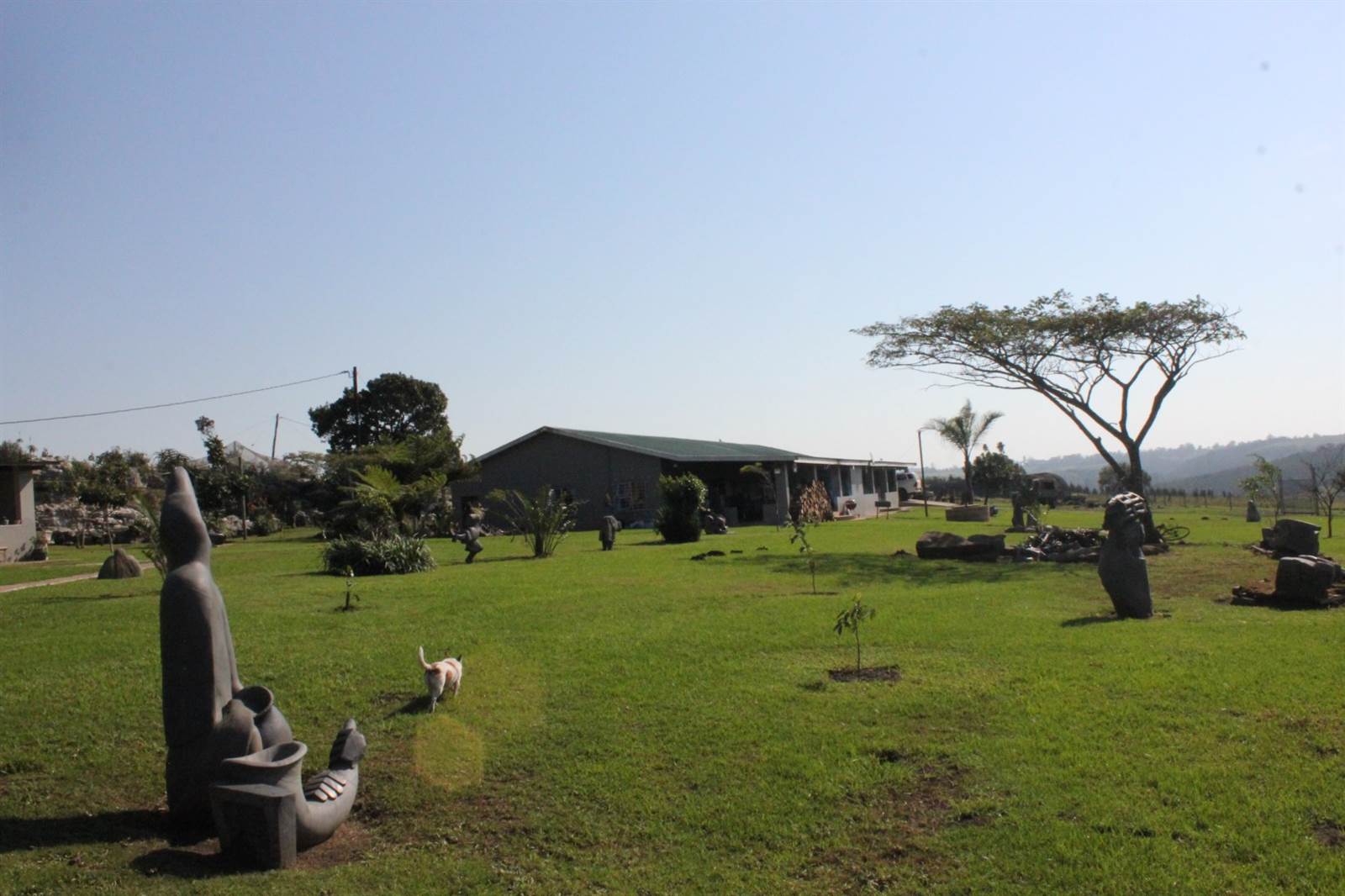 Game Farm in Port Shepstone photo number 7