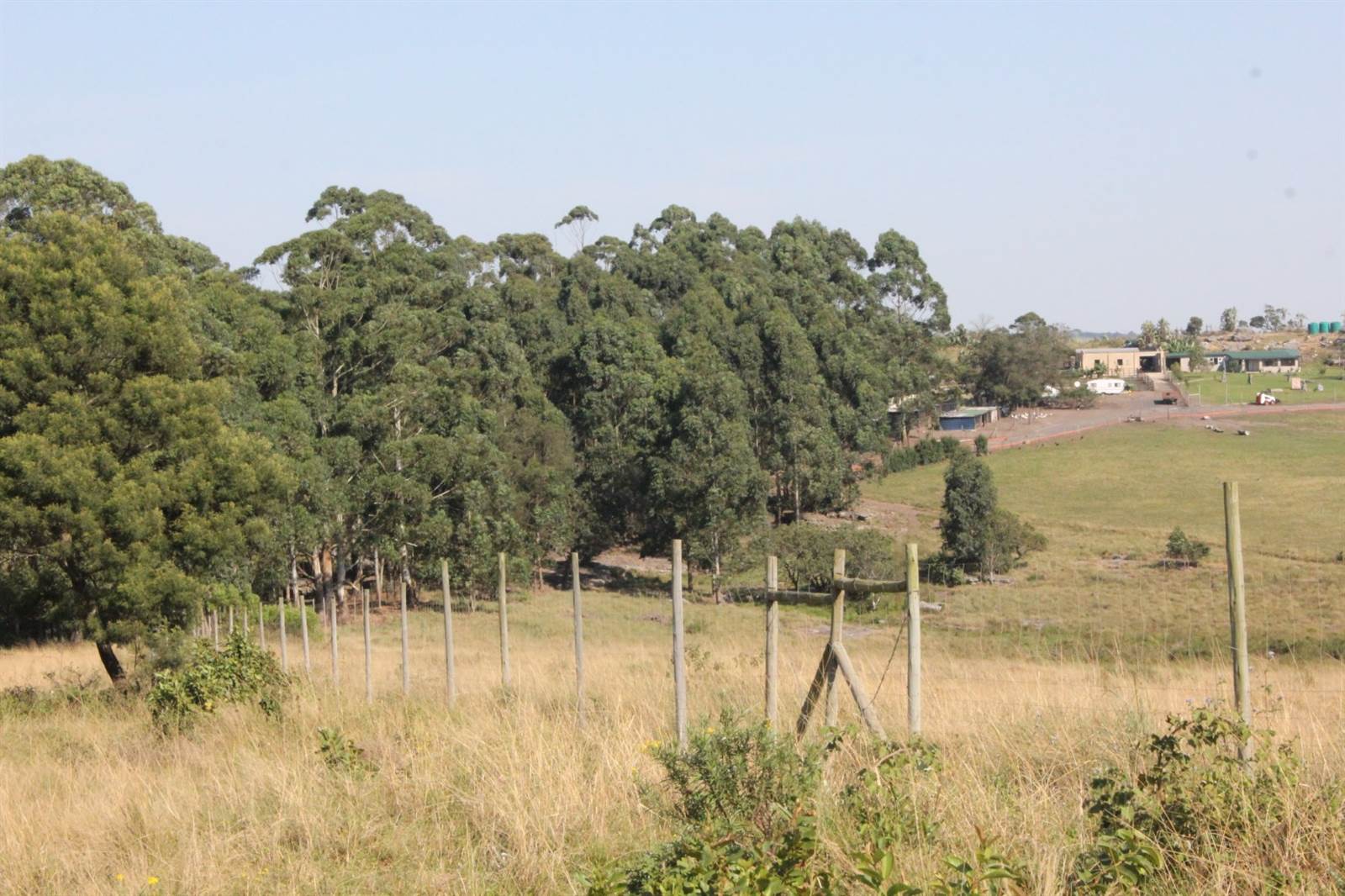 Game Farm in Port Shepstone photo number 4