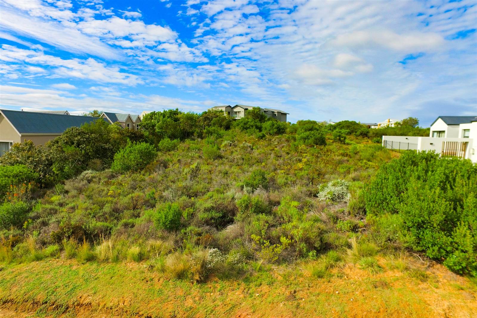 1295 m² Land available in Brackenridge photo number 2
