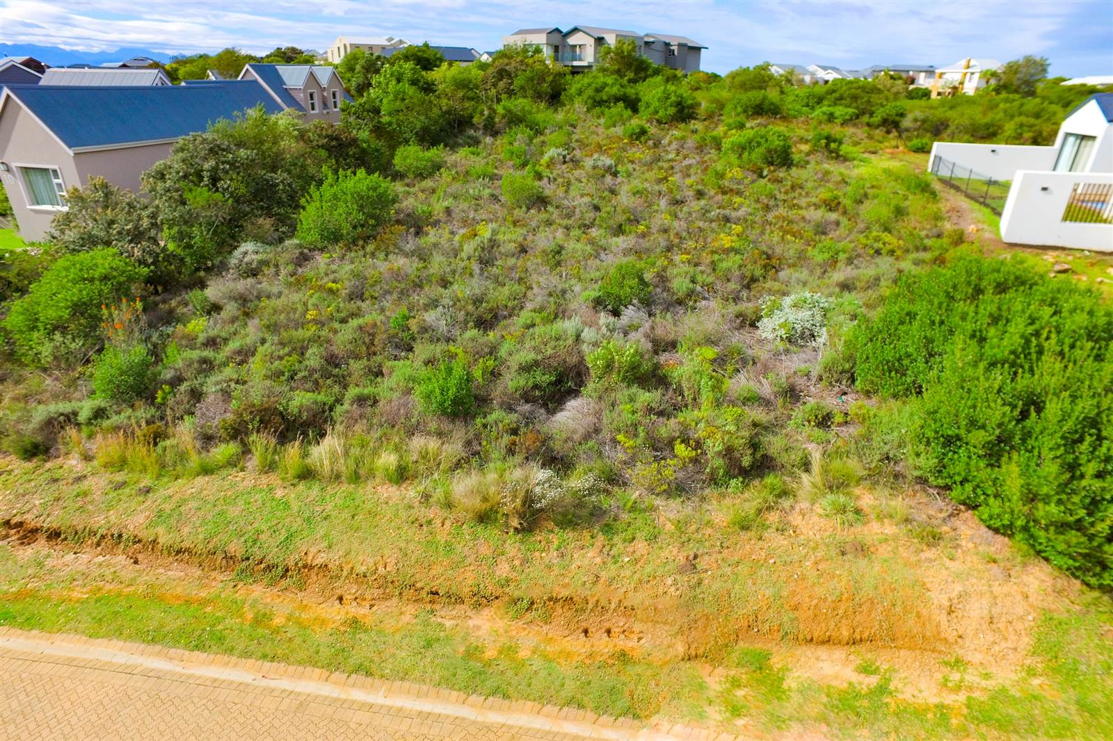 1295 m² Land available in Brackenridge photo number 5