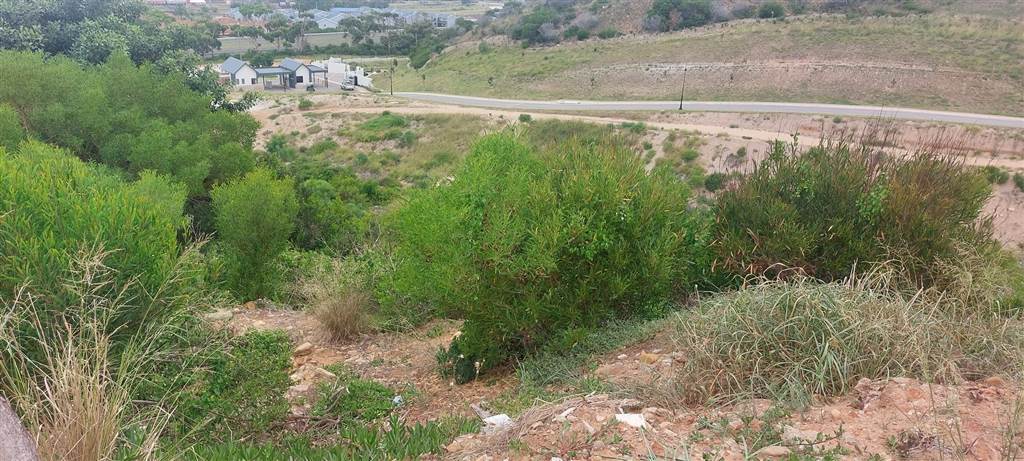 807 m² Land available in Menkenkop photo number 13