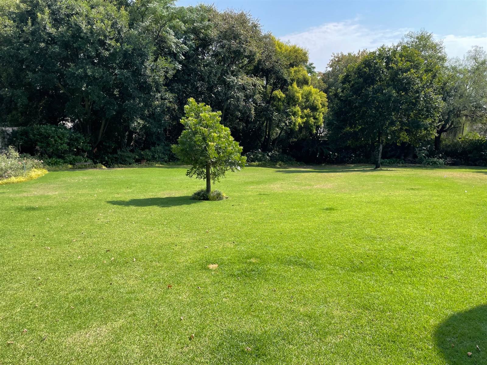 1915 m² Land available in Bryanston photo number 4