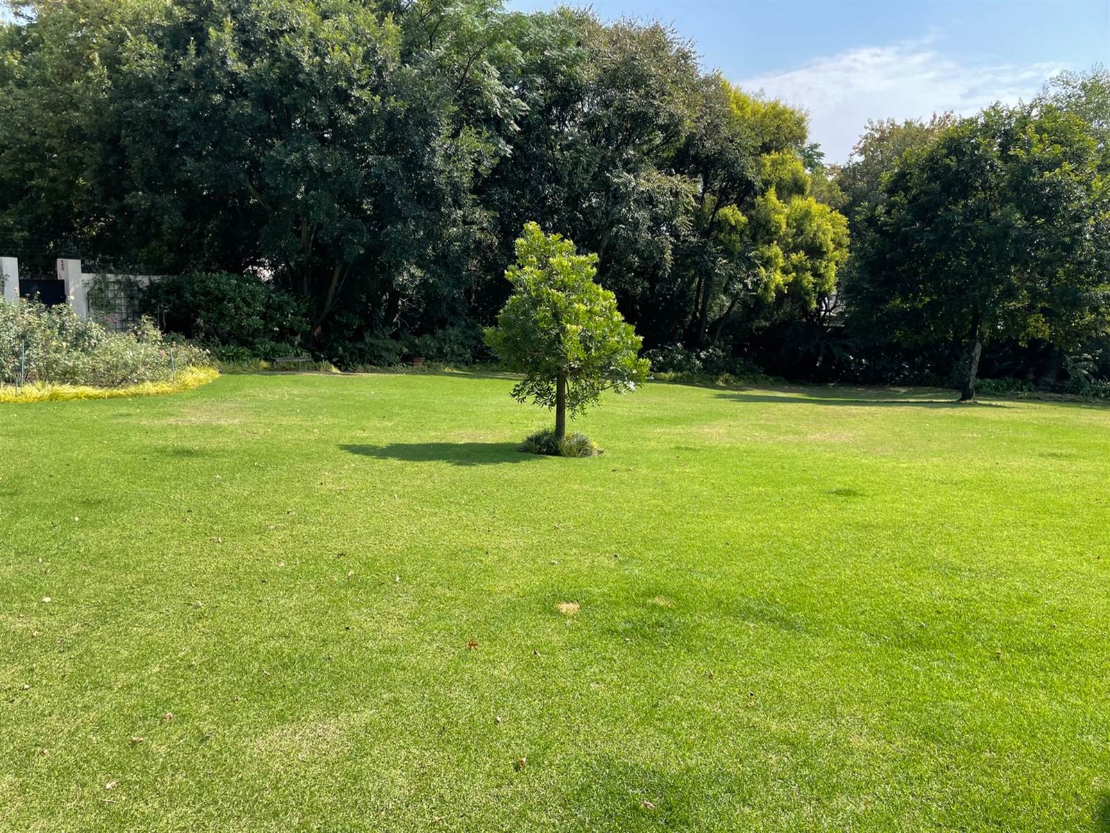 1915 m² Land available in Bryanston photo number 13