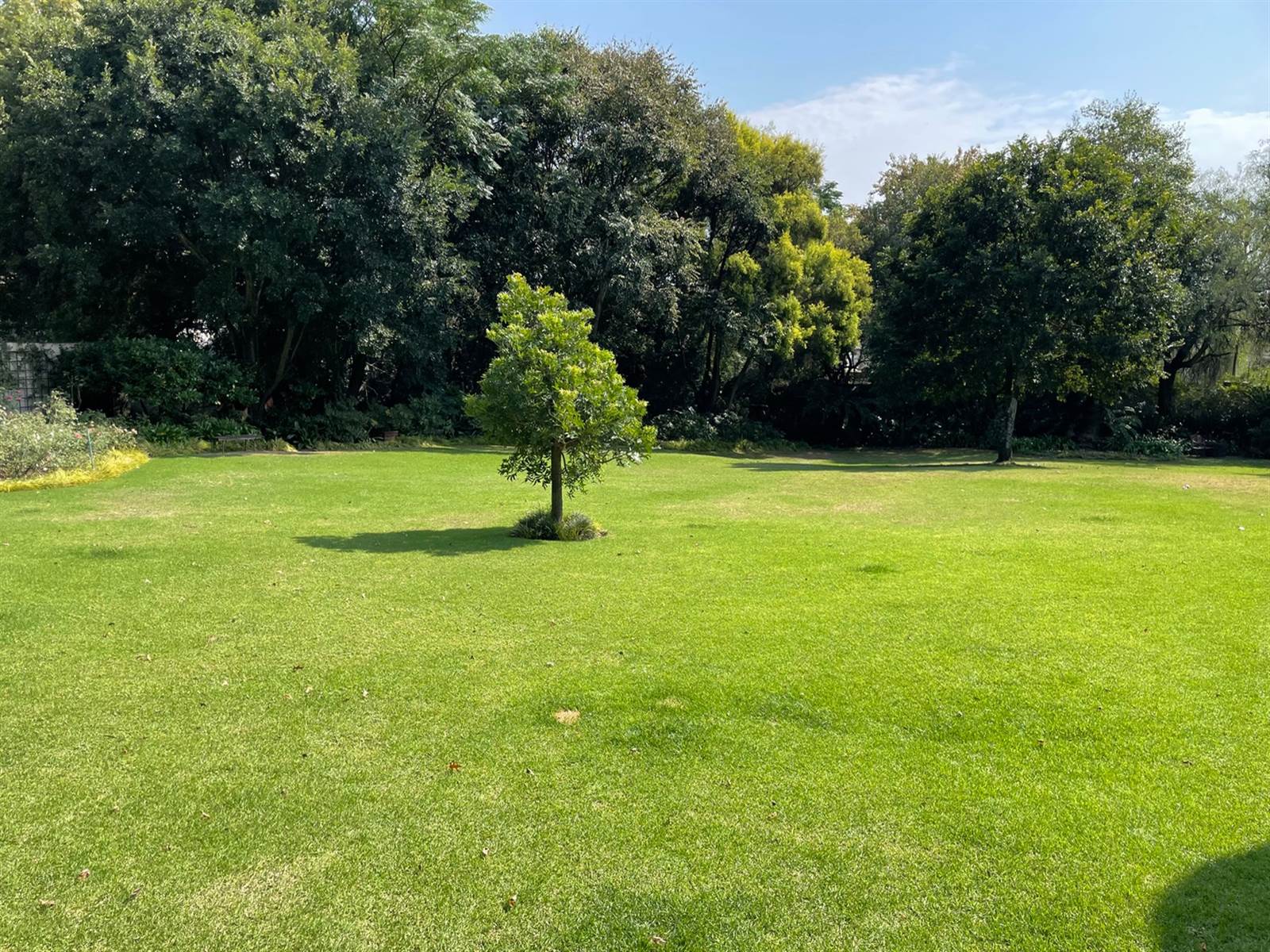 1915 m² Land available in Bryanston photo number 14