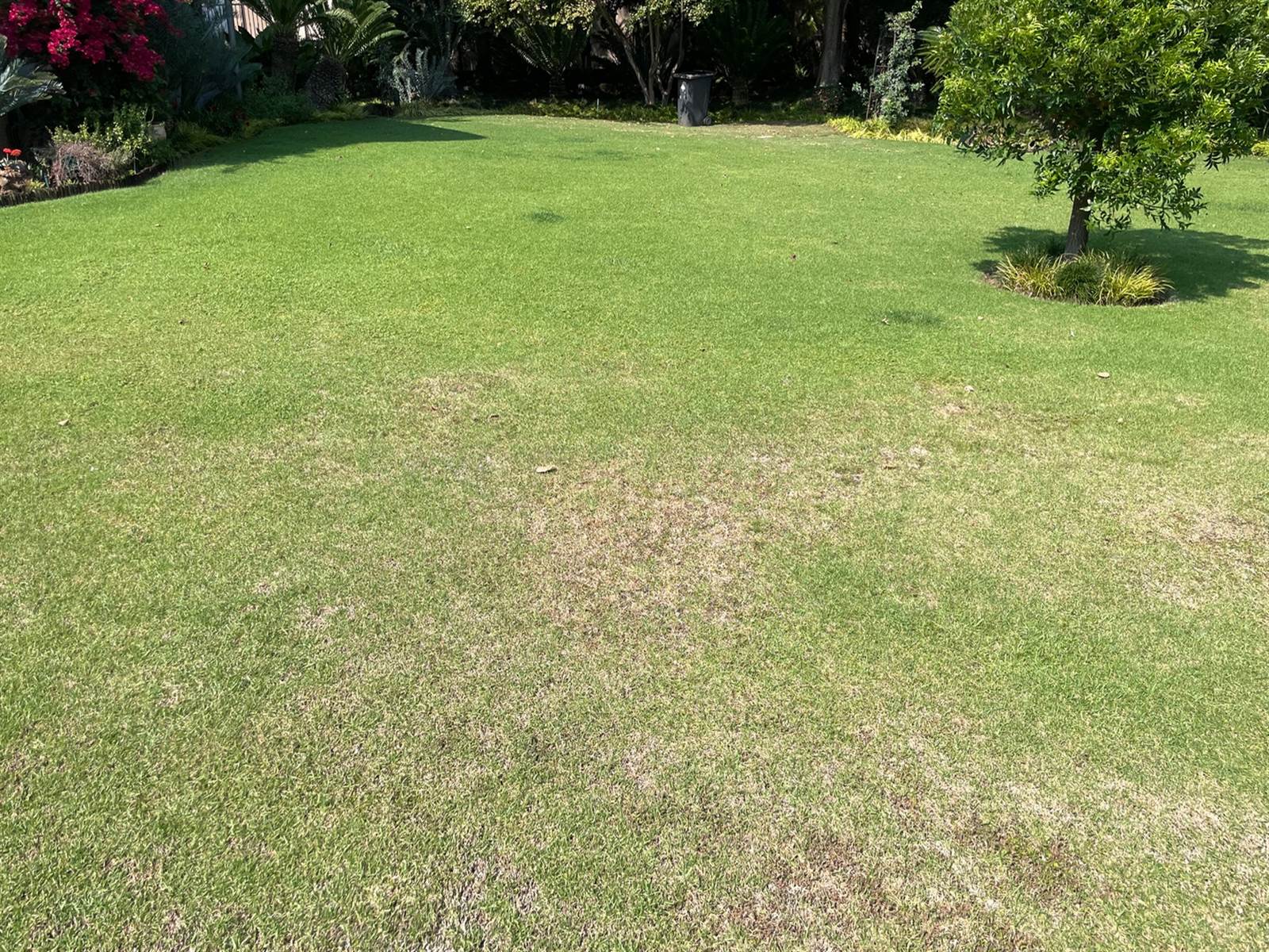 1915 m² Land available in Bryanston photo number 24