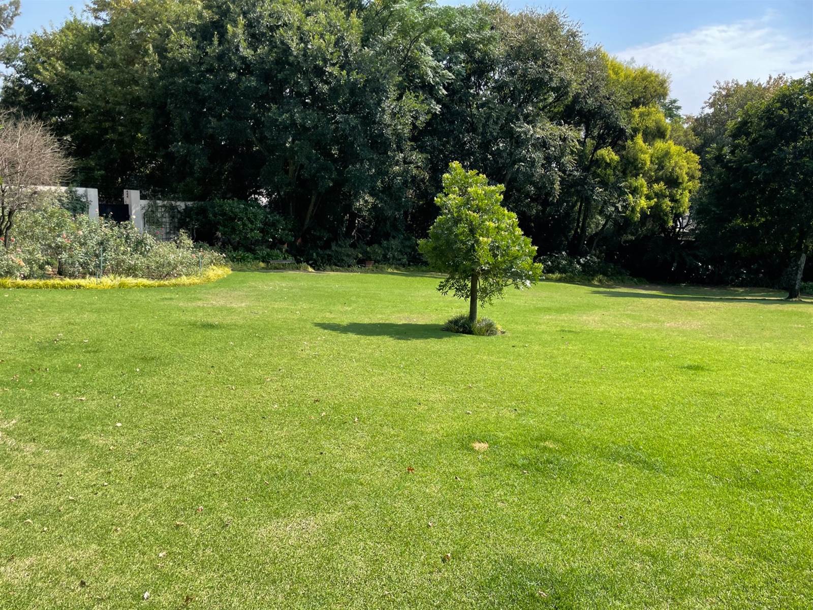 1915 m² Land available in Bryanston photo number 12
