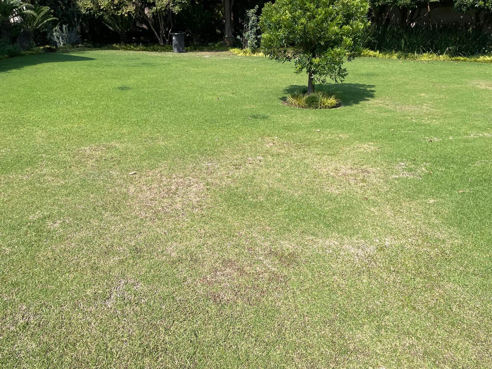 1915 m² Land available in Bryanston photo number 25