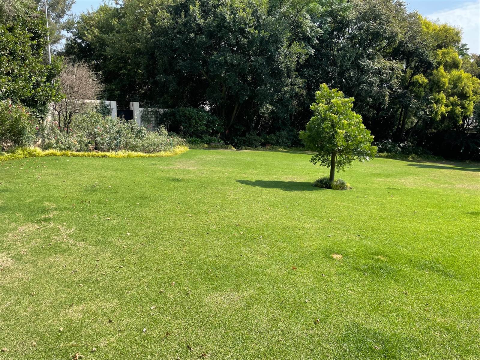 1915 m² Land available in Bryanston photo number 11