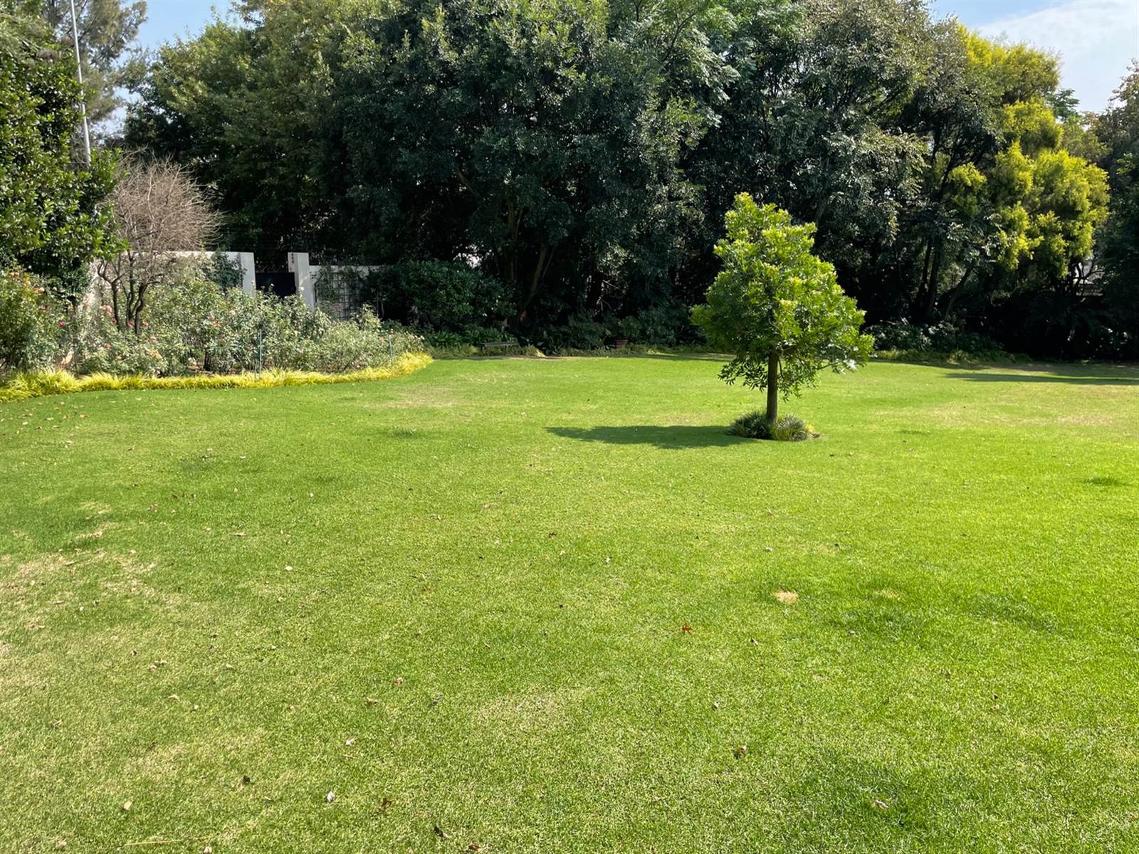 1915 m² Land available in Bryanston photo number 6