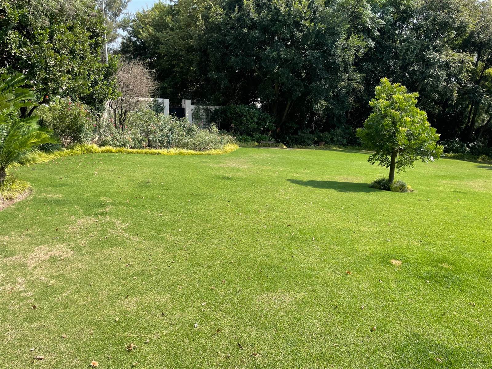 1915 m² Land available in Bryanston photo number 9