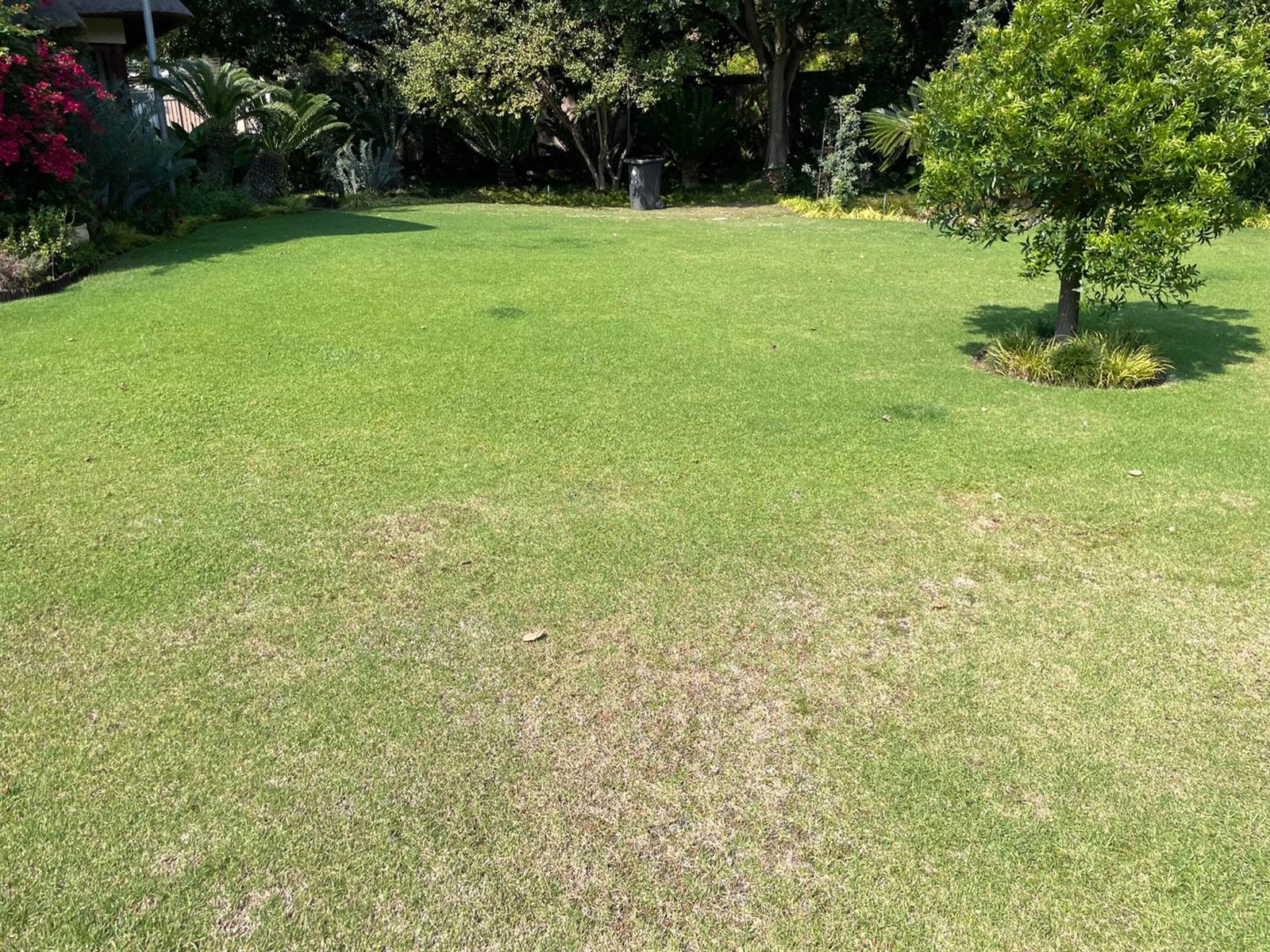 1915 m² Land available in Bryanston photo number 23