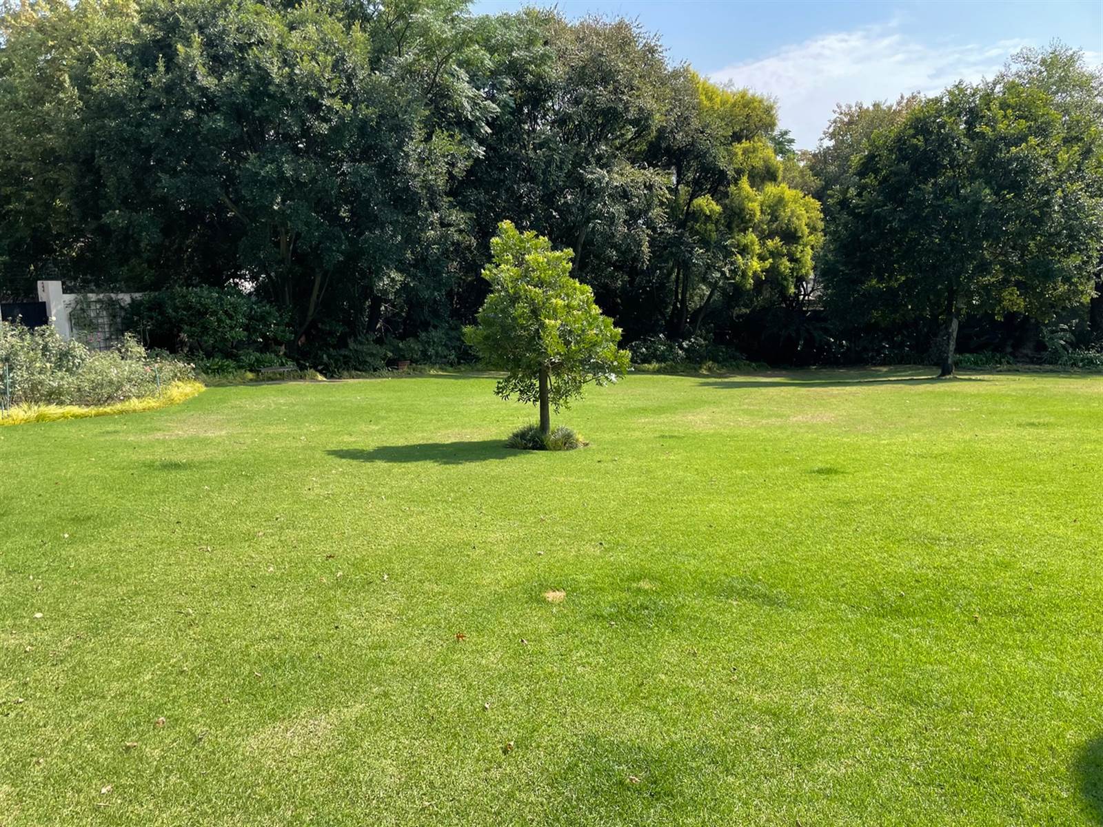1915 m² Land available in Bryanston photo number 2
