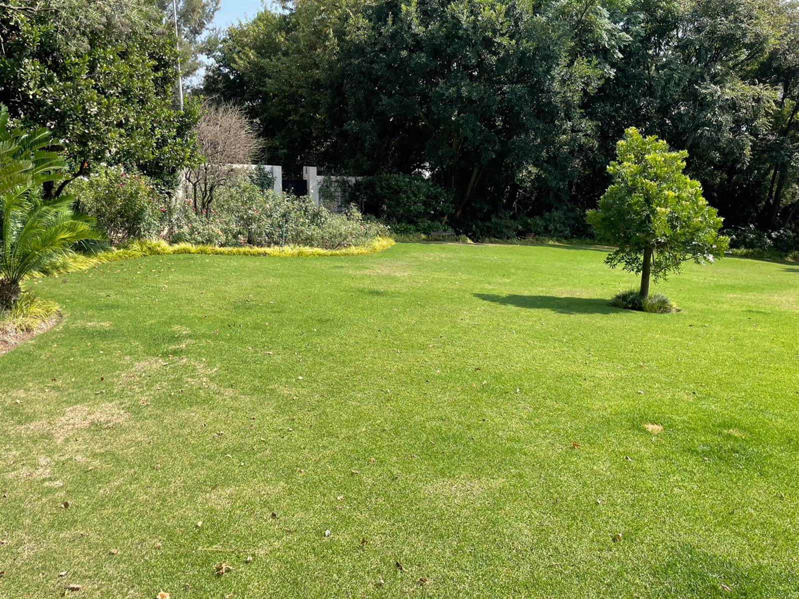 1915 m² Land available in Bryanston photo number 8