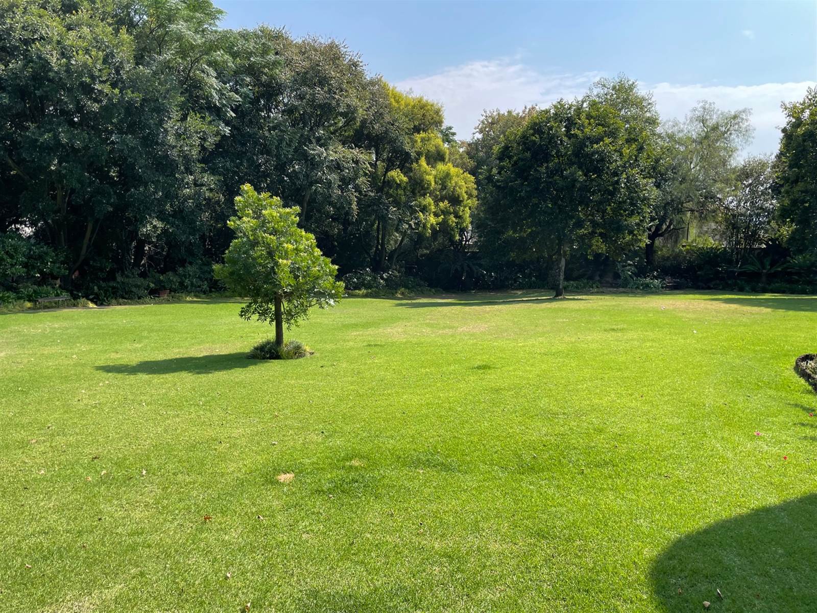 1915 m² Land available in Bryanston photo number 16