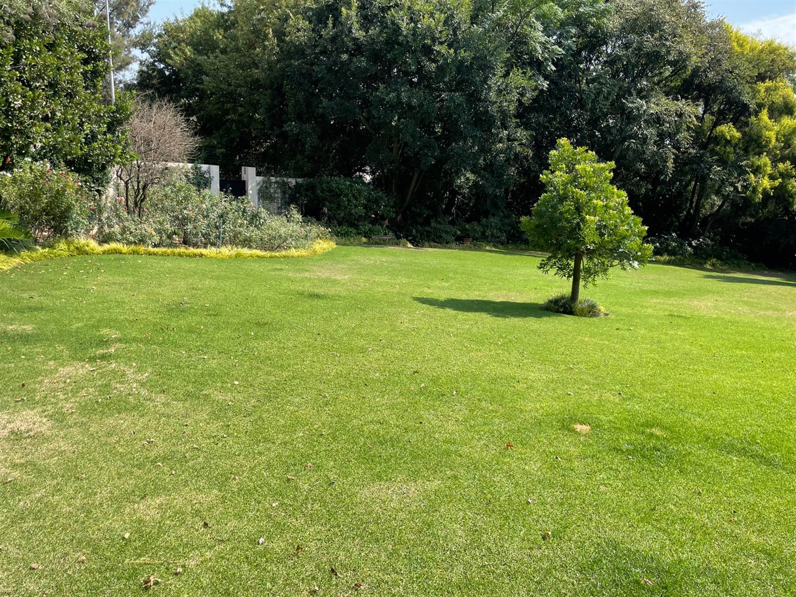 1915 m² Land available in Bryanston photo number 10