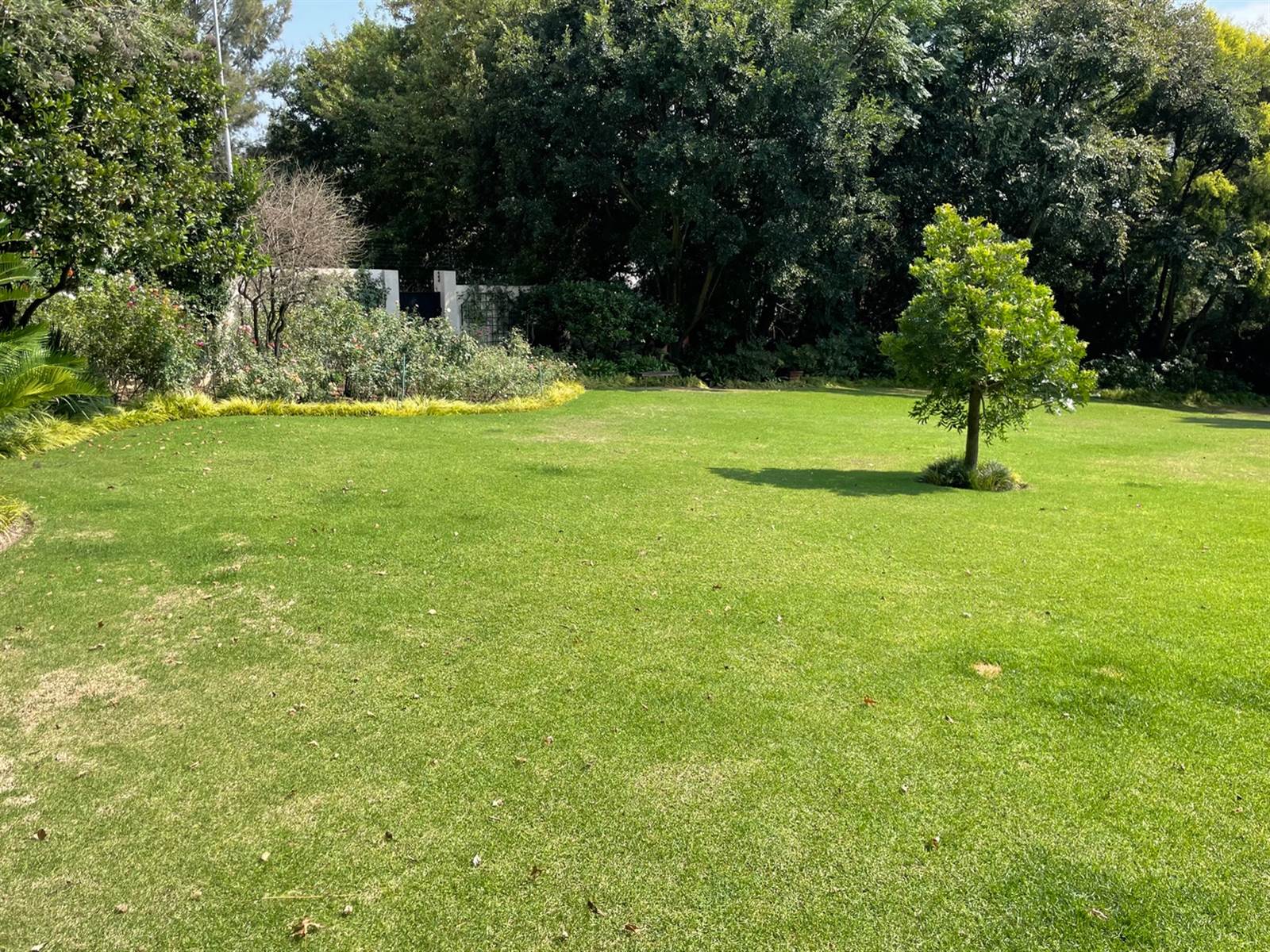 1915 m² Land available in Bryanston photo number 7