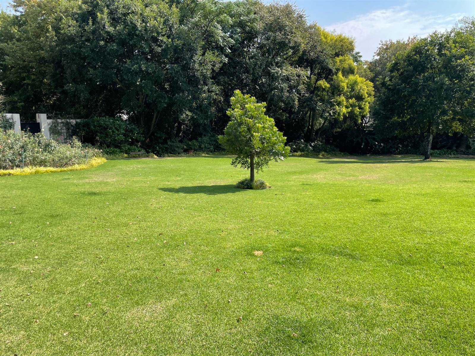 1915 m² Land available in Bryanston photo number 5