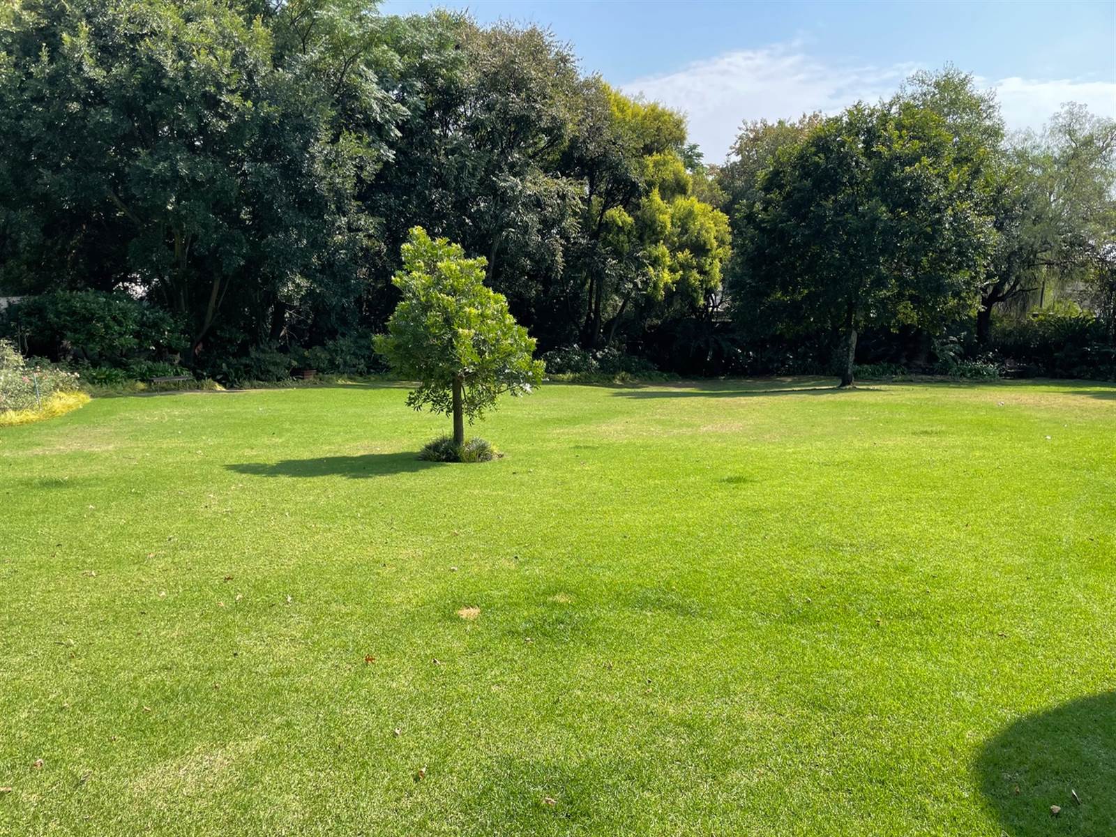 1915 m² Land available in Bryanston photo number 3