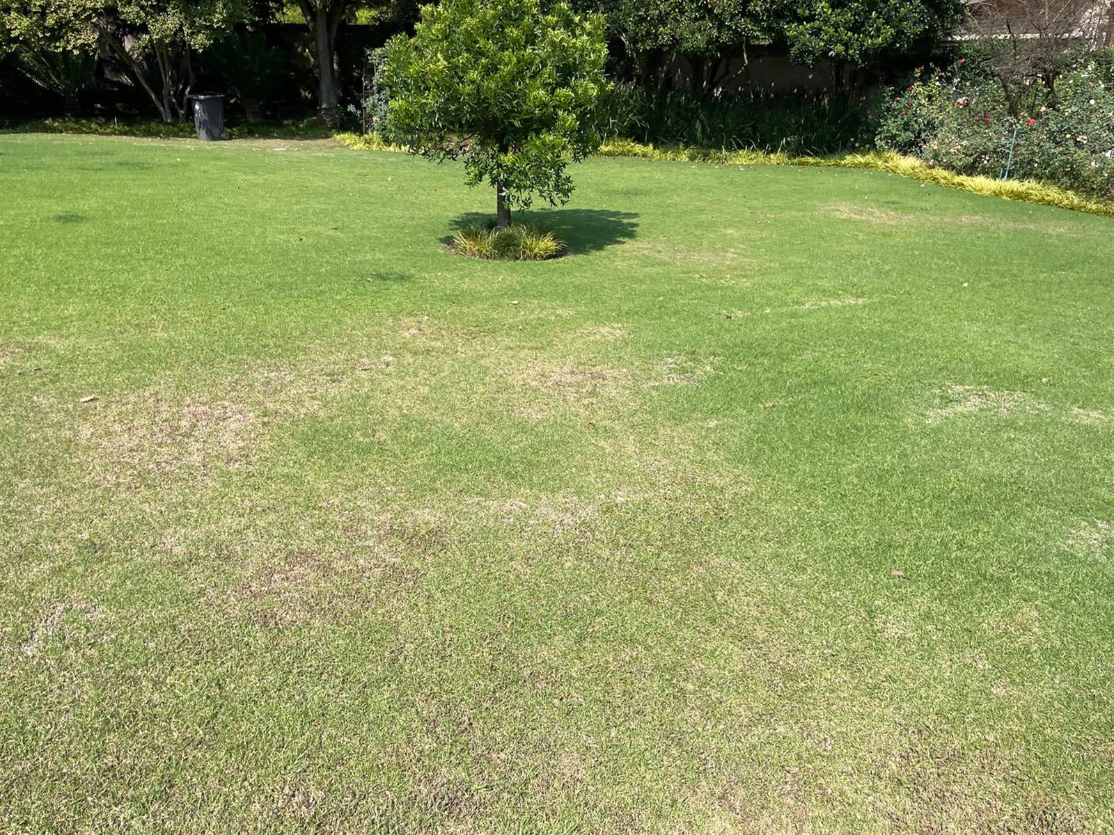 1915 m² Land available in Bryanston photo number 26
