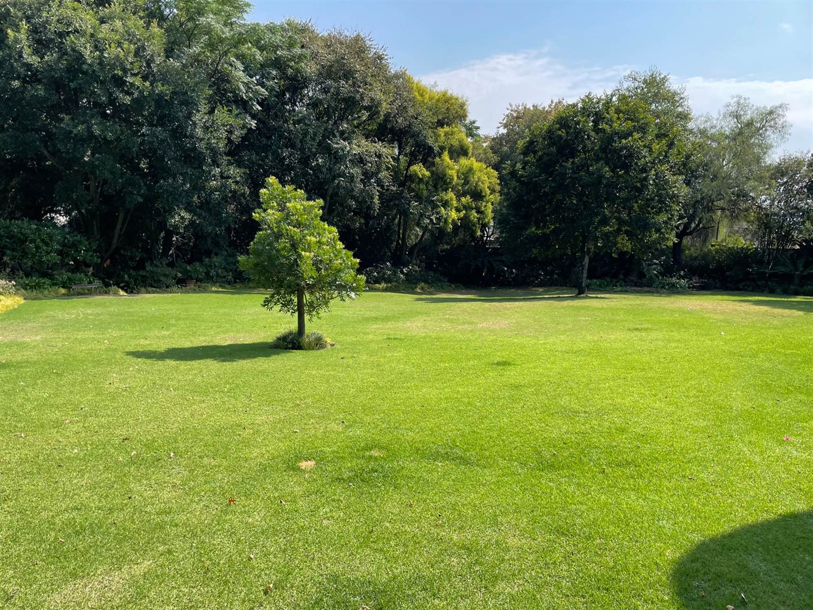 1915 m² Land available in Bryanston photo number 15
