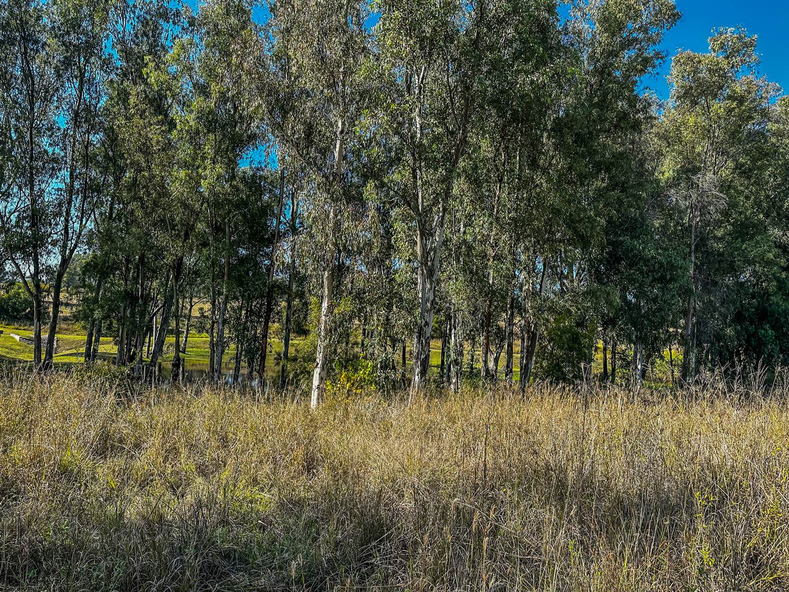 5332 m² Land available in Laezonia photo number 13