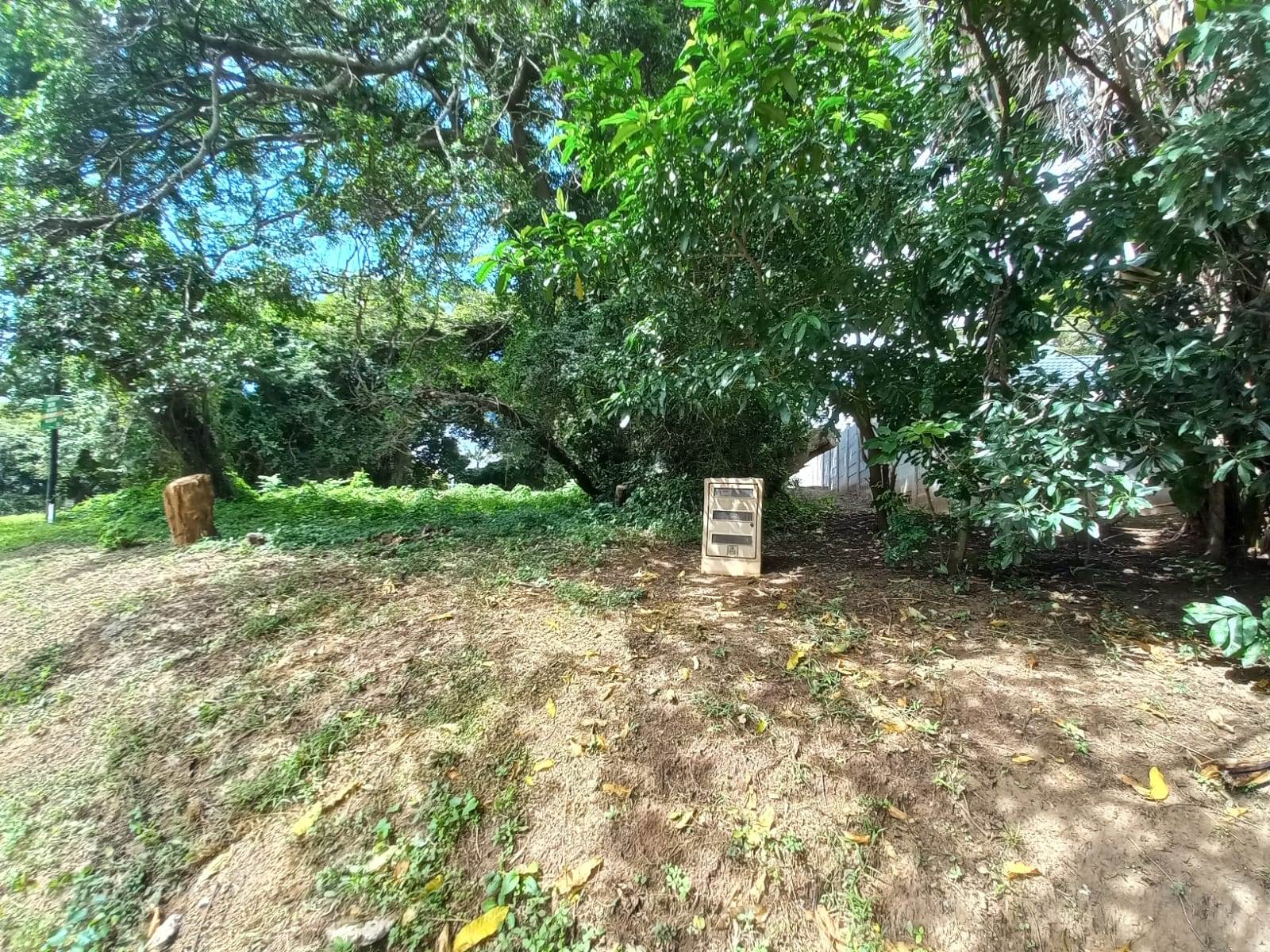 1100 m² Land available in Pennington photo number 1