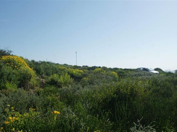 448 m² Land