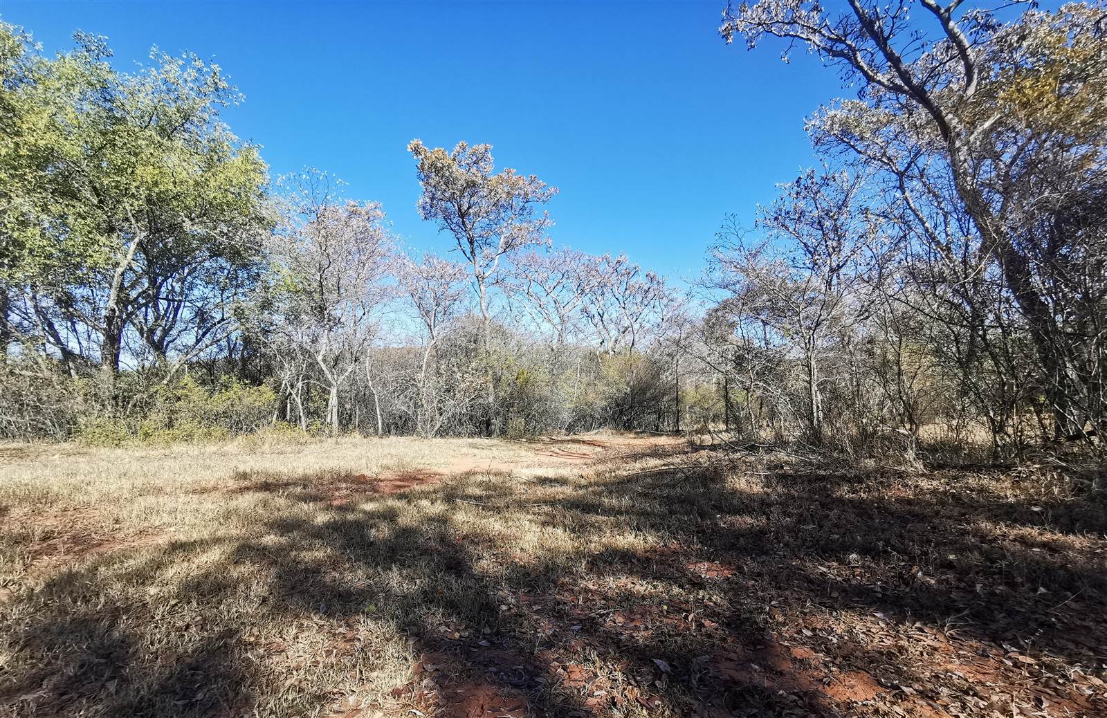 600 m² Land available in Modimolle photo number 6