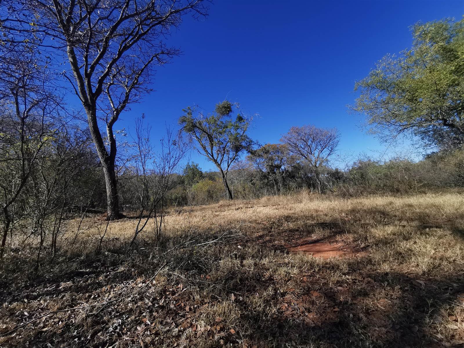 600 m² Land available in Modimolle photo number 7