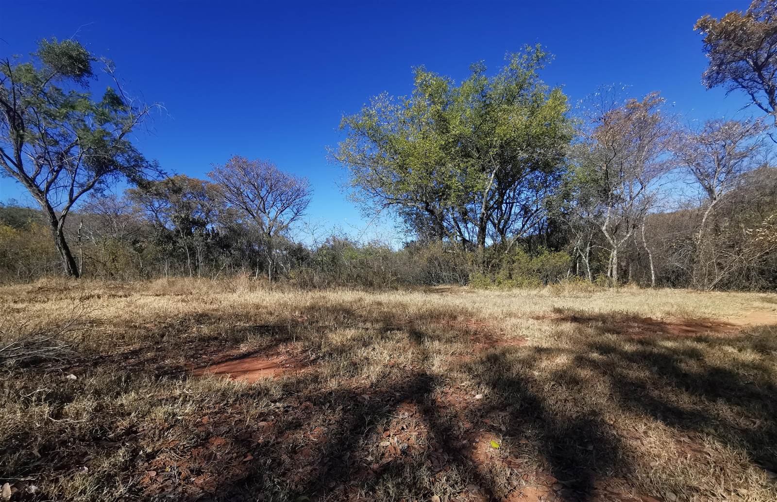 600 m² Land available in Modimolle photo number 5