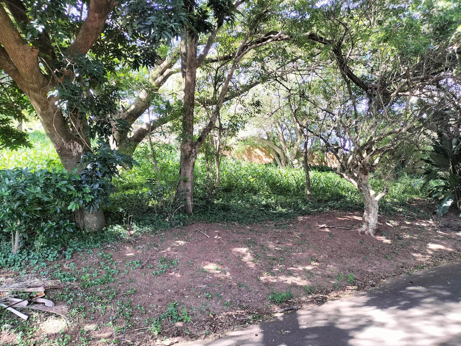 1459 m² Land available in Mtunzini photo number 6