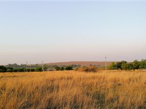 1 ha Land available in Blue Saddle Ranches