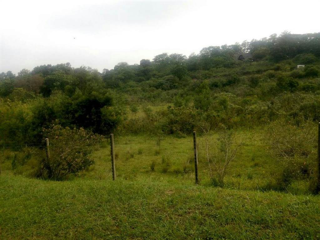 1.1 ha Land available in Crestholme photo number 2