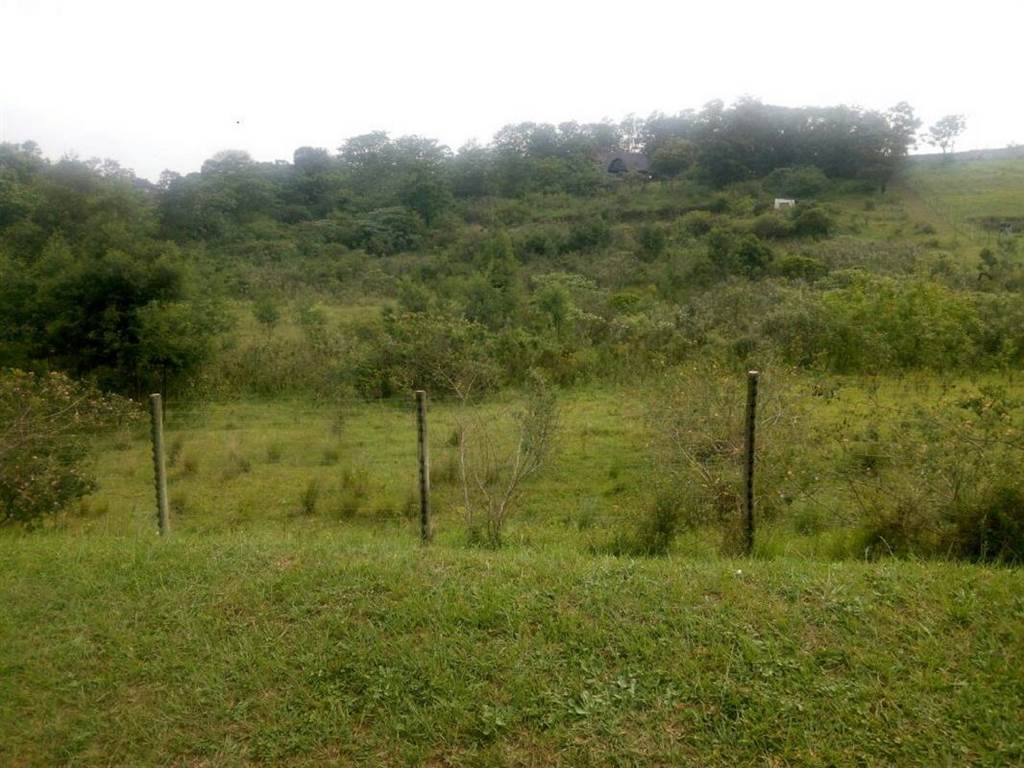1.1 ha Land available in Crestholme photo number 4