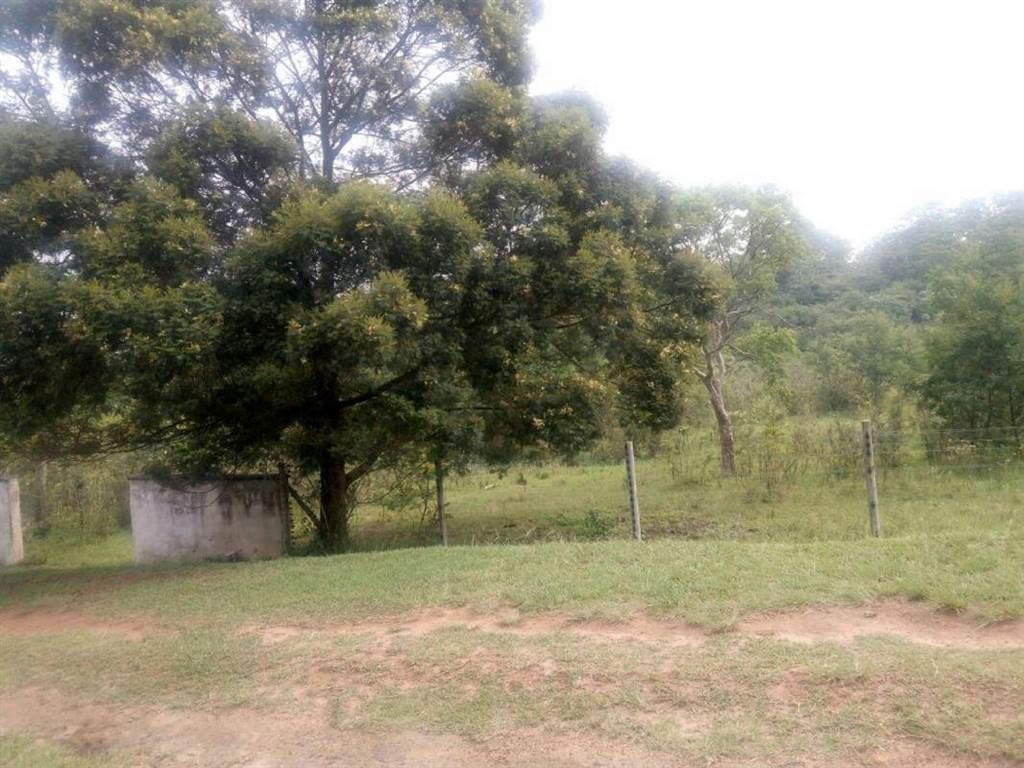1.1 ha Land available in Crestholme photo number 5