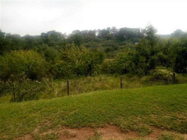 1.1 ha Land available in Crestholme