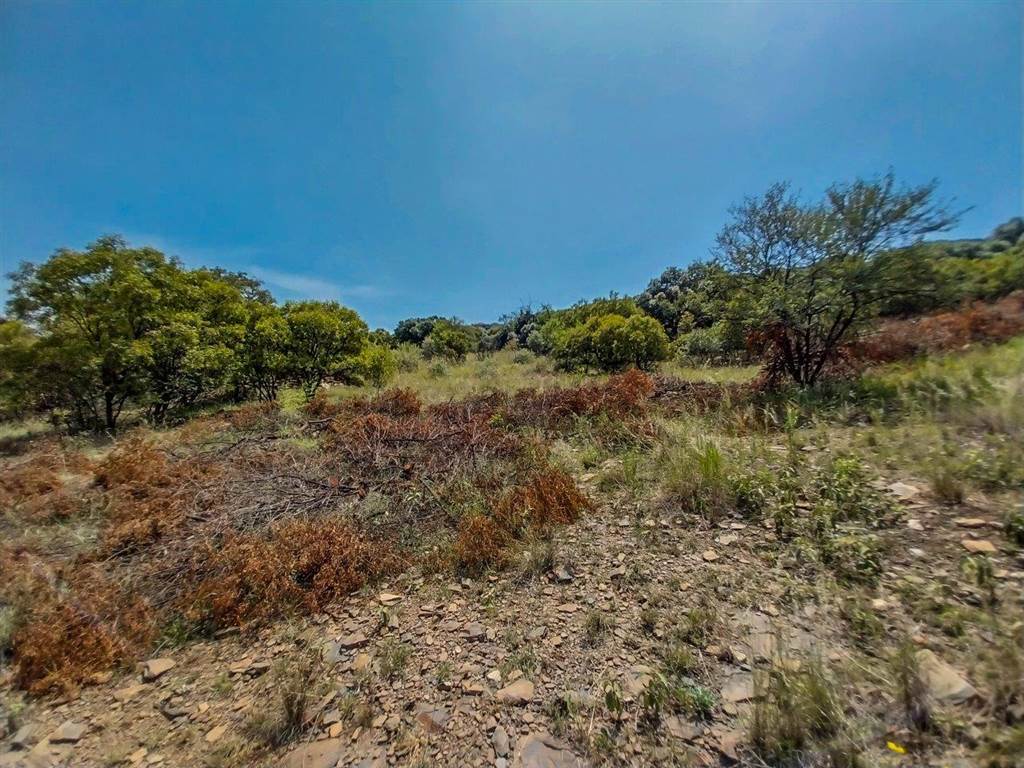 4175 m² Land available in Xanadu photo number 25