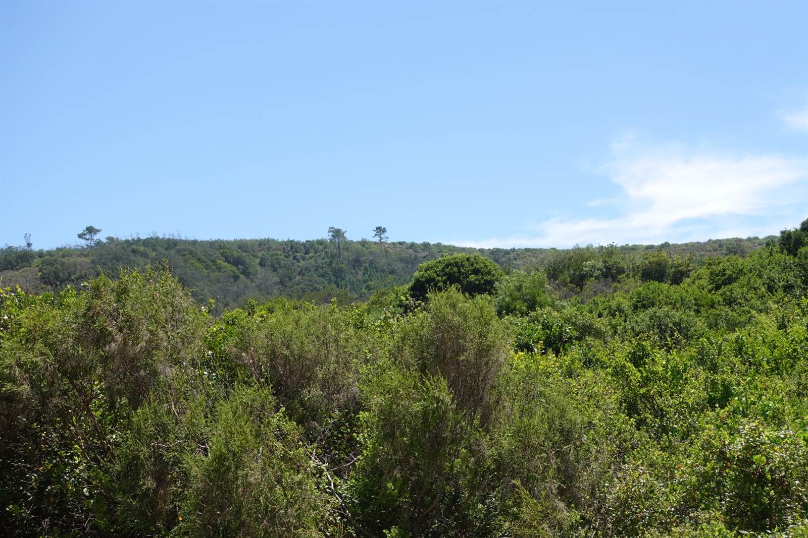 783 m² Land available in Dolphin Creek Golf Estate photo number 4