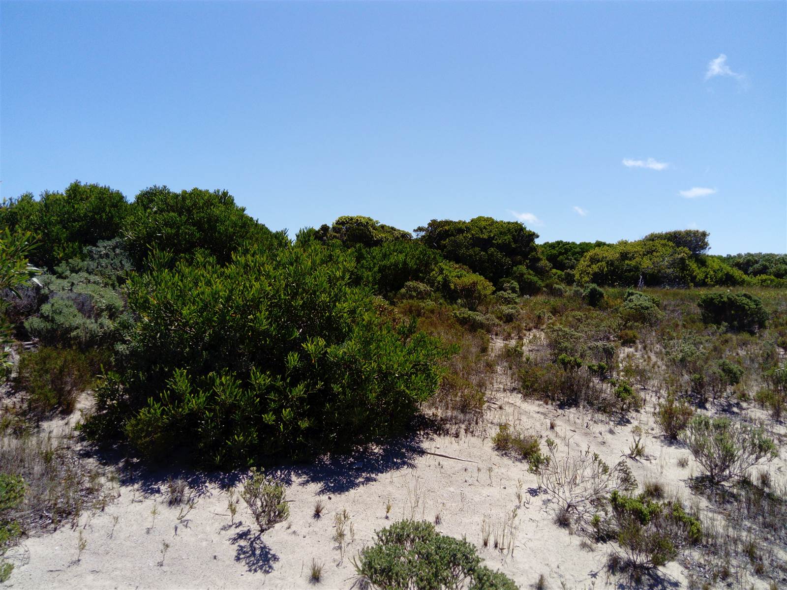 602 m² Land available in Kleinbaai photo number 2