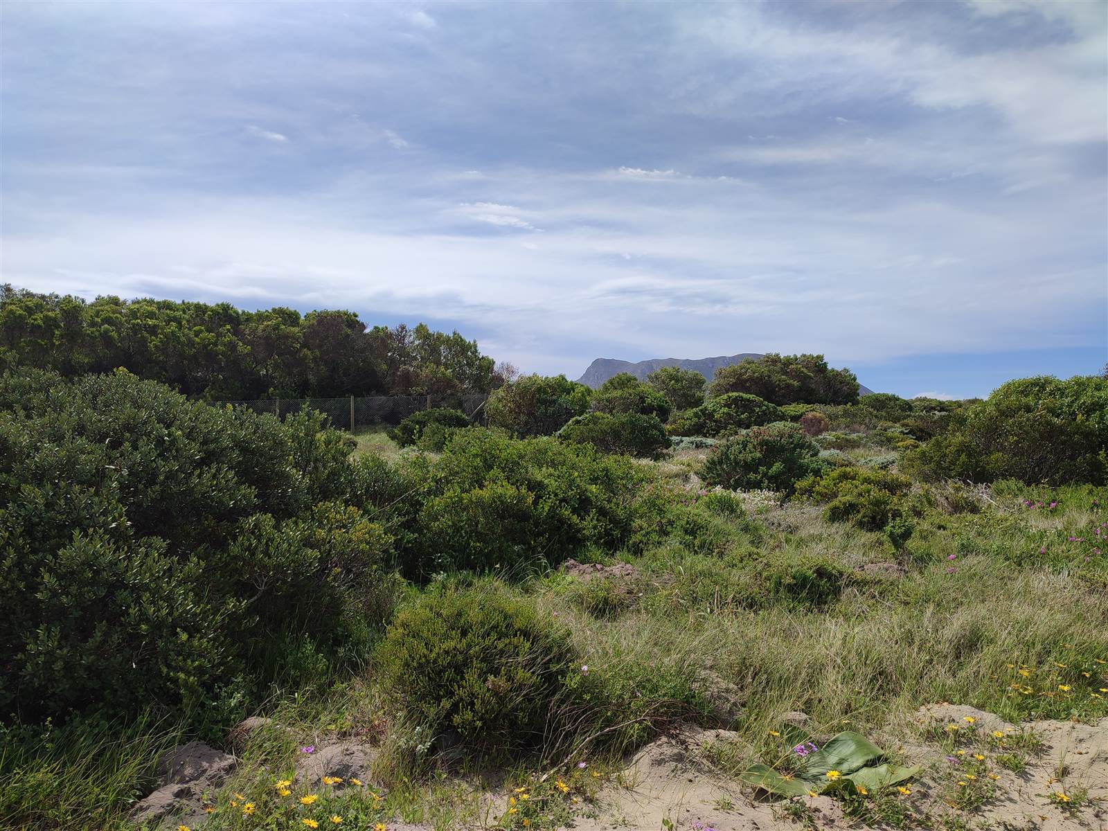 602 m² Land available in Kleinbaai photo number 5